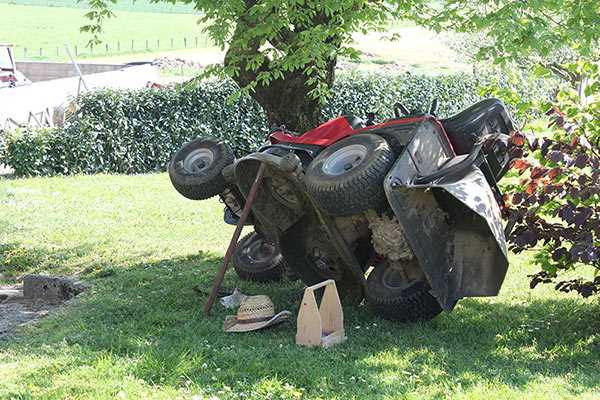 Annuaire des professionnels de la garde de chiens à Épernay