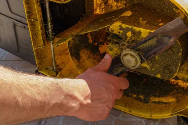 Trouver un professionnel de la garde d'animaux à Épernay